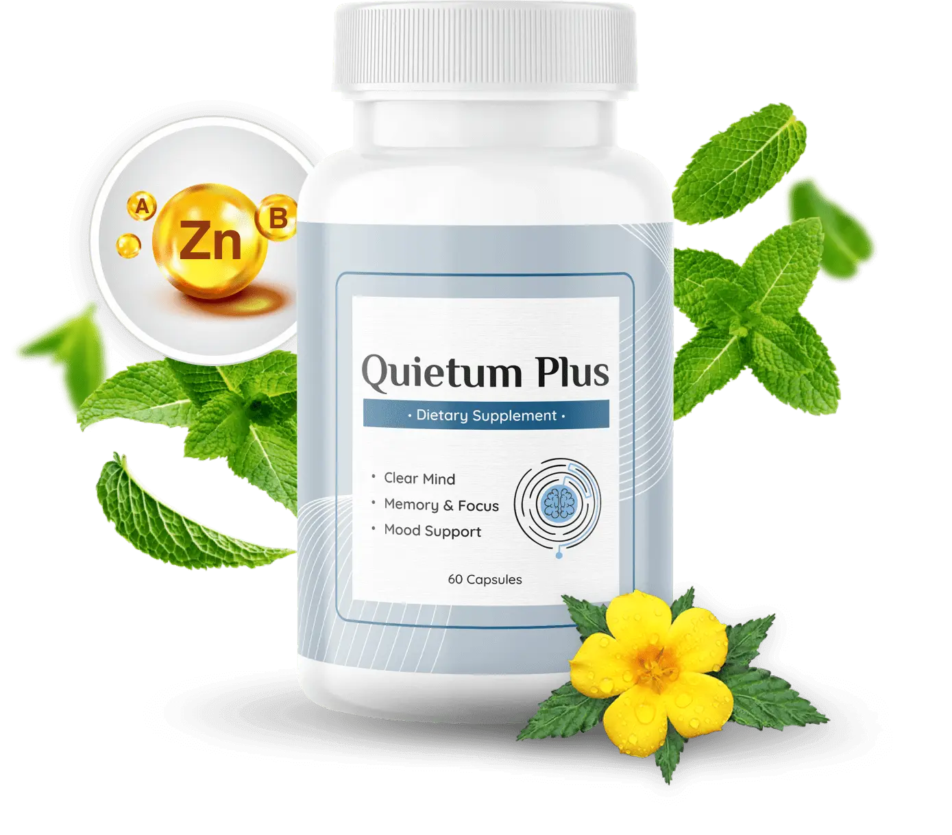 Quietum-image